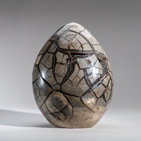 Large Septarian Druzy Geode Egg, Madagascar