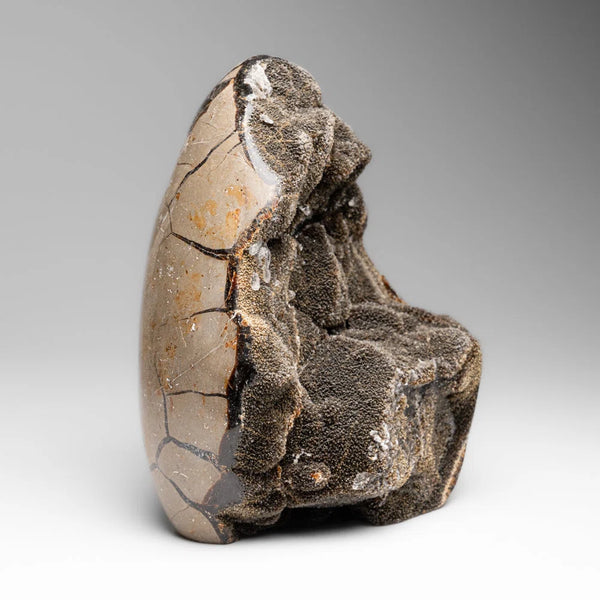 Large Septarian Druzy Geode Egg, Madagascar