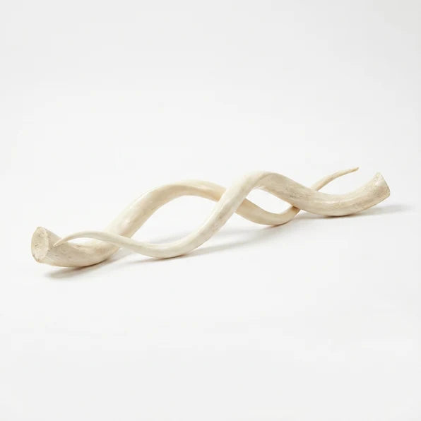 Pair of Kudu Horns
