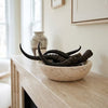 Loose African Springbok Horn, Natural