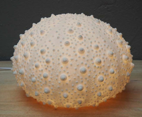 Sea Urchin Lamp