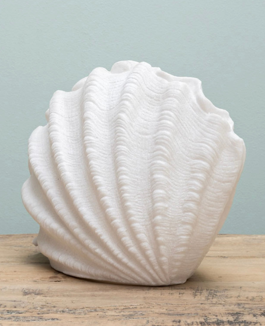 Shell Lamp