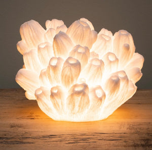 Coral Lamp