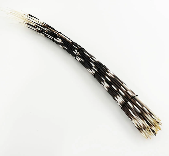 Porcupine Quill