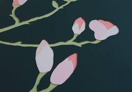 Forest Magnolia