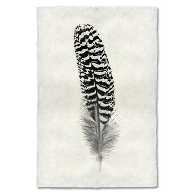 Feather Study #13, Mottled Peacock