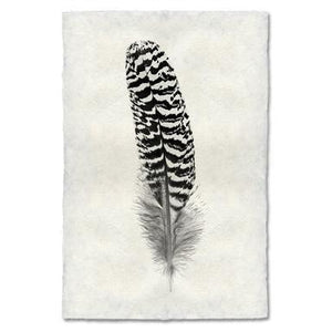 Feather Study #13, Mottled Peacock